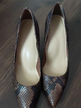 Pointed Toe Women's Pumps in Brown Snake Print
